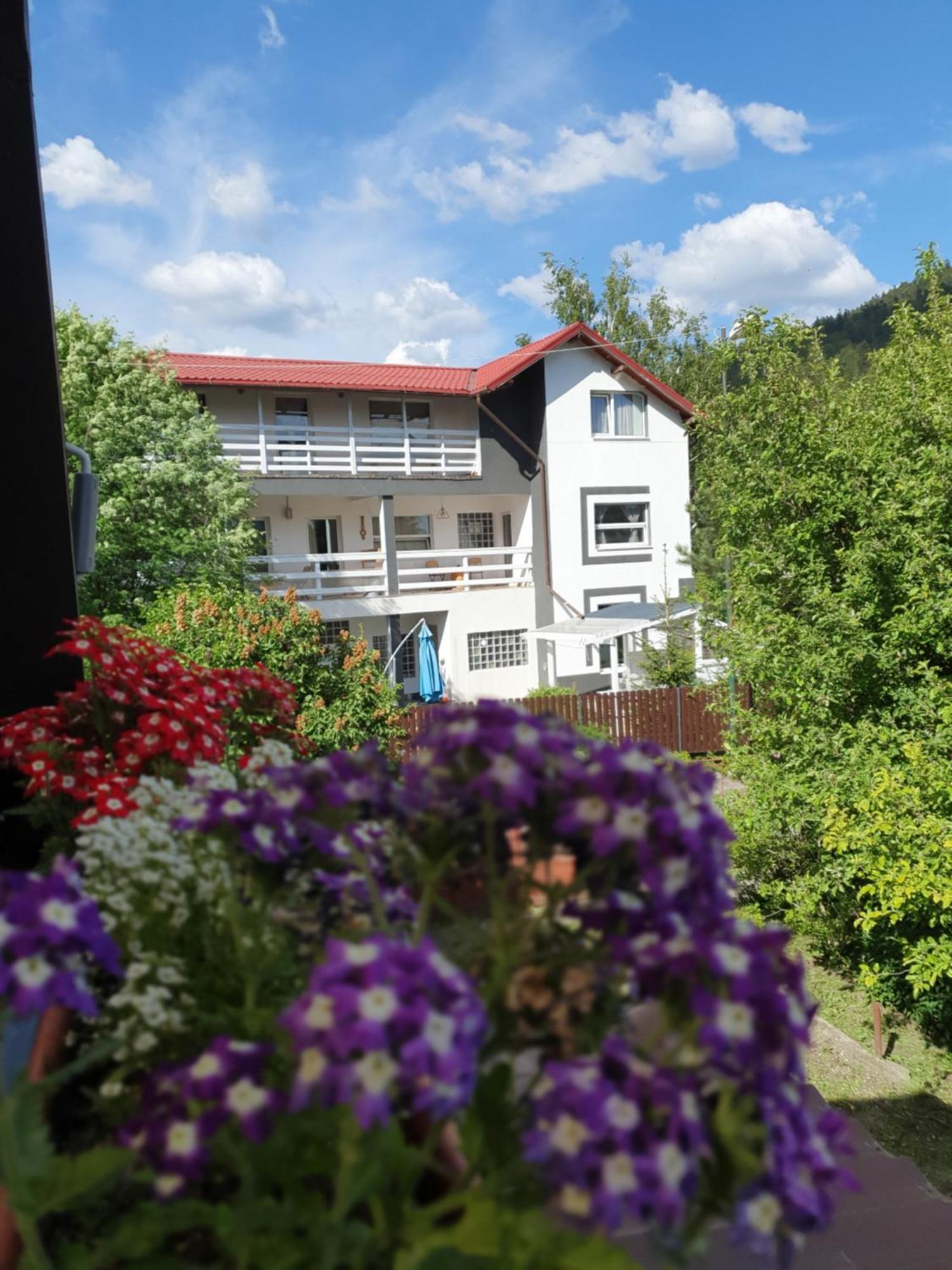 Casa David Hotel Buşteni Buitenkant foto