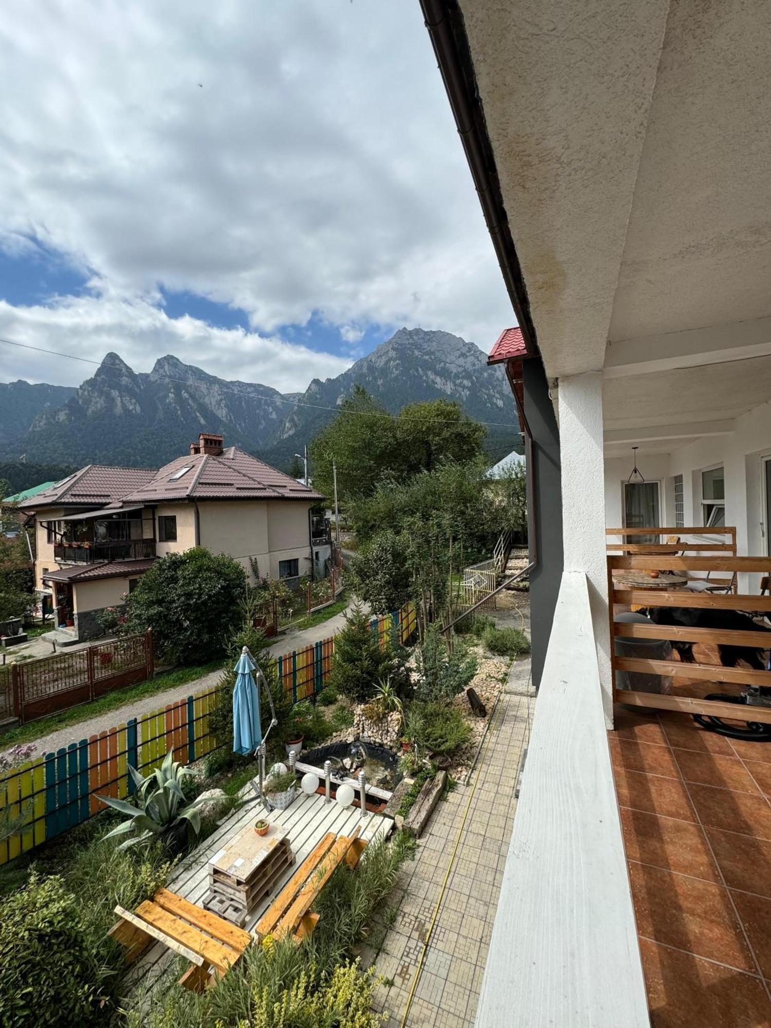 Casa David Hotel Buşteni Buitenkant foto