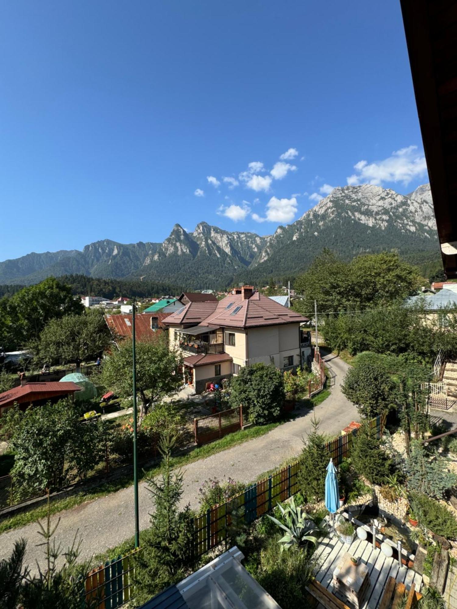 Casa David Hotel Buşteni Buitenkant foto