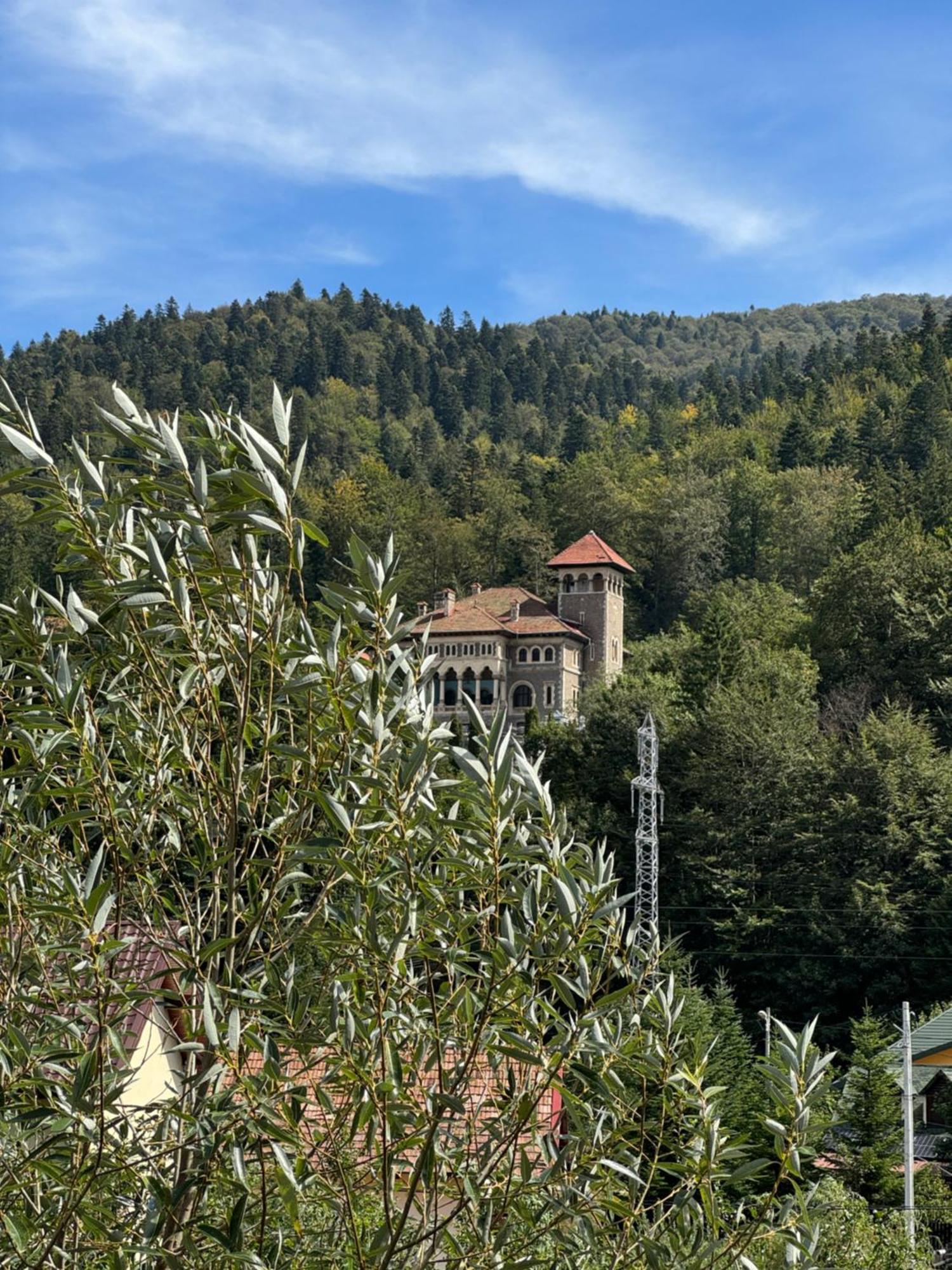 Casa David Hotel Buşteni Buitenkant foto