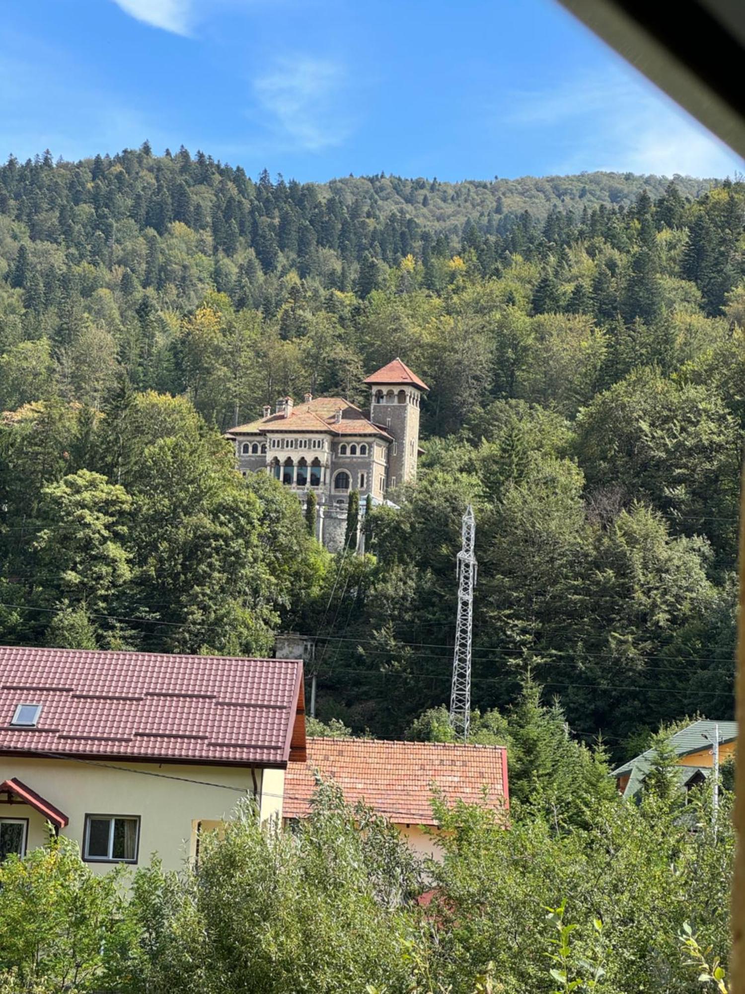 Casa David Hotel Buşteni Buitenkant foto