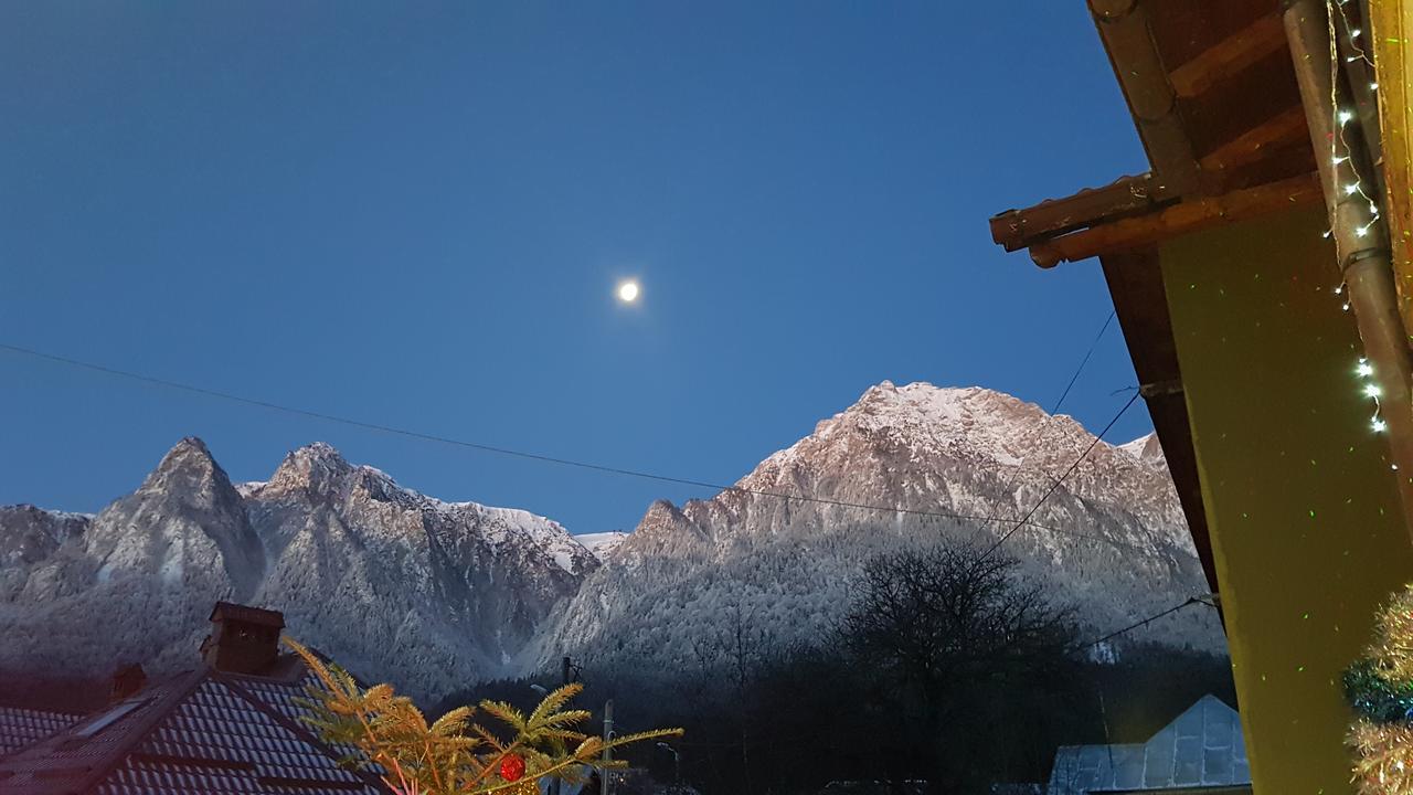 Casa David Hotel Buşteni Buitenkant foto